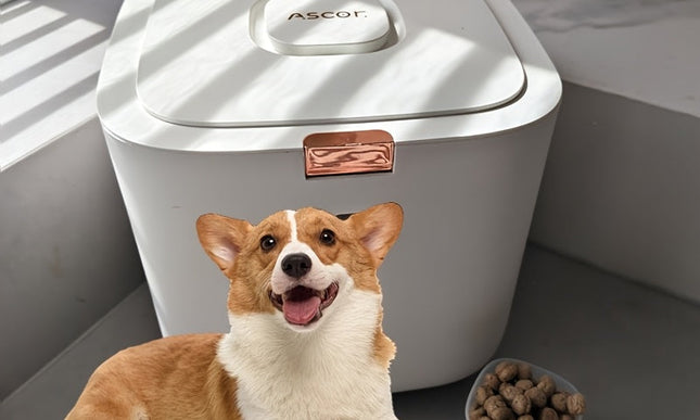Pet Food Storage Container Flip-Top
