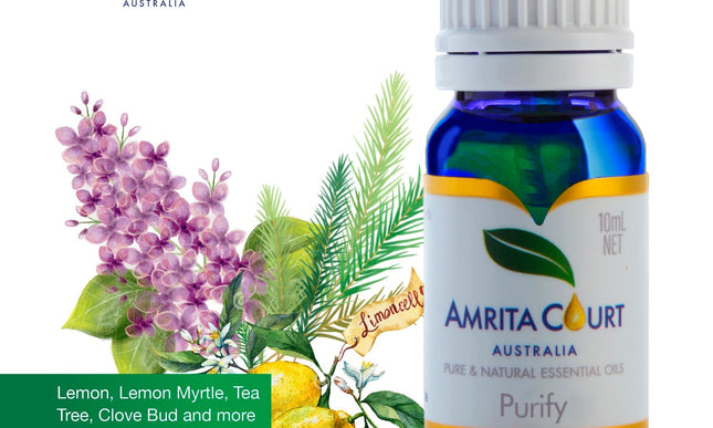 Purify+Wood Diffuser | Clean Air | Rid of Germs | Positive Energy