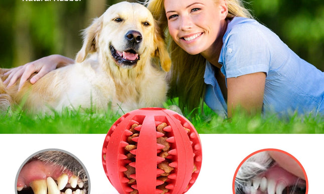 Pet Chewing Tooth Cleaning Toy