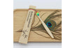 100Pcs Rainbow color