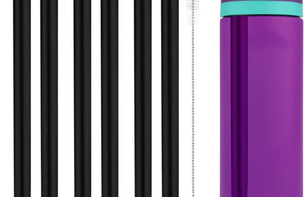 EcoWarra 6PCS Black 4/6/12PCS Replacement Straws for Owala Water Bottle 24 oz 32 oz, Reusable Plastic Straws with Cleaning Brush
