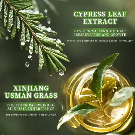 EcoWarra Anti-Hair Loss Herbal Shampoo Bar – Platycladus & Usnea for Oil Control, Dandruff Relief & Stronger Hair