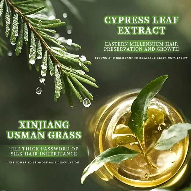 EcoWarra Anti-Hair Loss Herbal Shampoo Bar – Platycladus & Usnea for Oil Control, Dandruff Relief & Stronger Hair