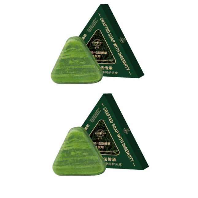 EcoWarra Anti-Hair Loss Herbal Shampoo Bar – Platycladus & Usnea for Oil Control, Dandruff Relief & Stronger Hair