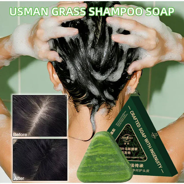 EcoWarra Anti-Hair Loss Herbal Shampoo Bar – Platycladus & Usnea for Oil Control, Dandruff Relief & Stronger Hair
