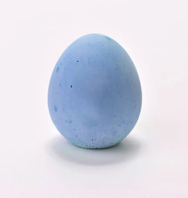 EcoWarra Blue Deodorized Egg Three Colors of Diatomaceous Earth Deodorant Egg Refrigerator Air Freshening Water-absorbing Moisture Deodorant Function