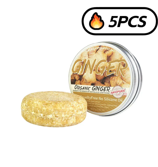 EcoWarra English Bx5pcs Ginger Polygonum Soap Shampoo Soap Cold Processed Soap Hair Shampoo Bar Pure Plant Hair Shampoos Hair Care