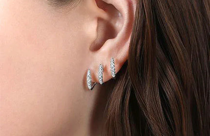 EcoWarra Exquisite Silver Color Claws Stud Earrings with Crystal AAA CZ Stone Modern Design Fashion Versatile Accessories Women Jewelry