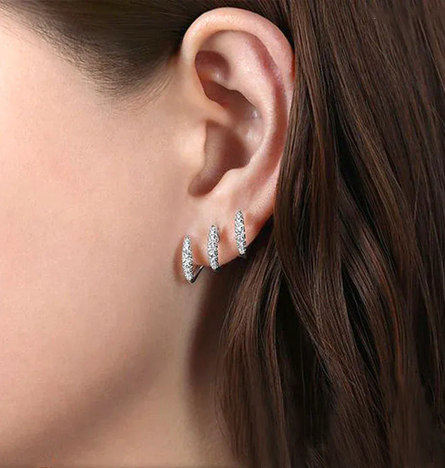 EcoWarra Exquisite Silver Color Claws Stud Earrings with Crystal AAA CZ Stone Modern Design Fashion Versatile Accessories Women Jewelry