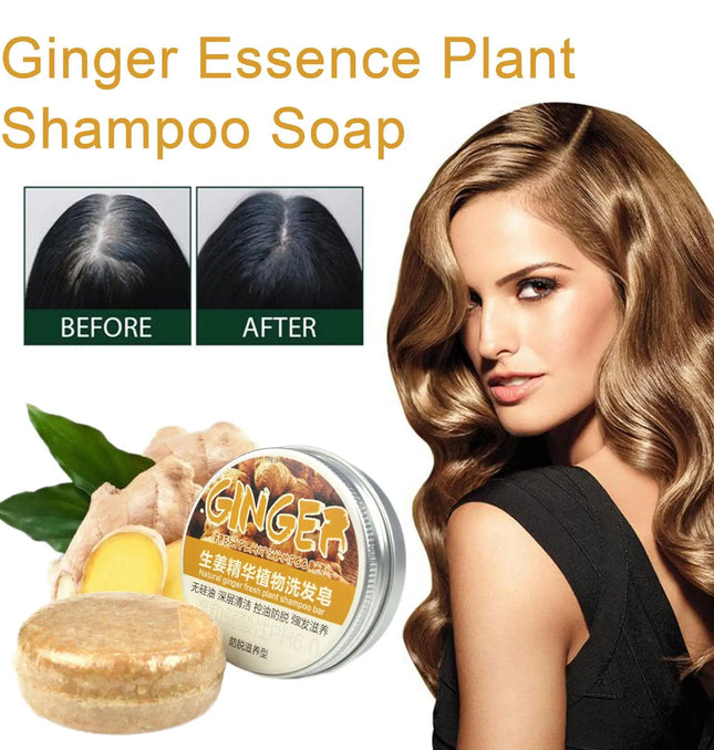 EcoWarra Ginger Polygonum Soap Shampoo Soap Cold Processed Soap Hair Shampoo Bar Pure Plant Hair Shampoos Hair Care