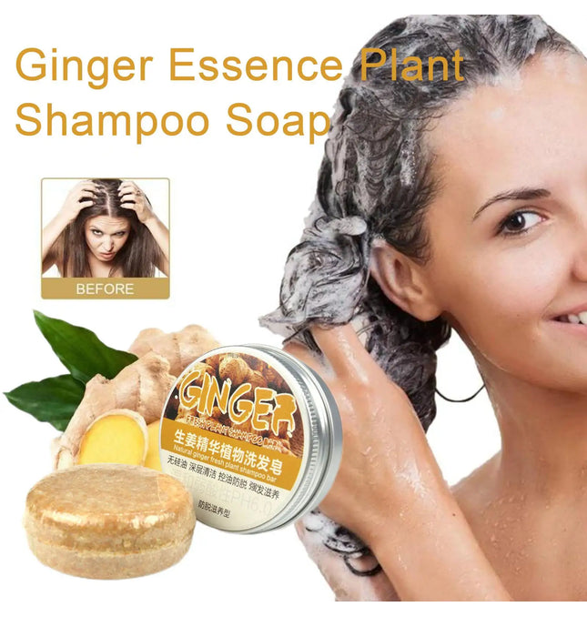 EcoWarra Ginger Polygonum Soap Shampoo Soap Cold Processed Soap Hair Shampoo Bar Pure Plant Hair Shampoos Hair Care