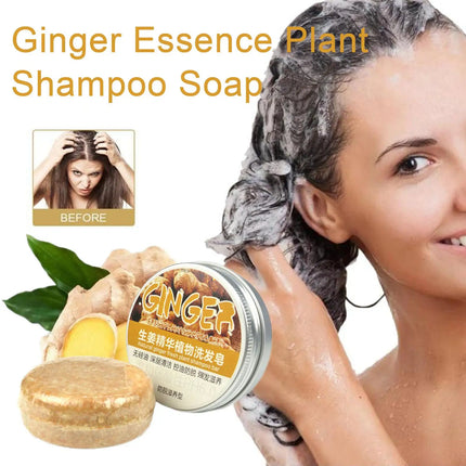 EcoWarra Ginger Polygonum Soap Shampoo Soap Cold Processed Soap Hair Shampoo Bar Pure Plant Hair Shampoos Hair Care
