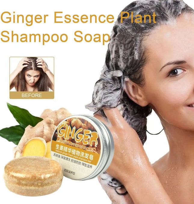 EcoWarra Ginger Polygonum Soap Shampoo Soap Cold Processed Soap Hair Shampoo Bar Pure Plant Hair Shampoos Hair Care