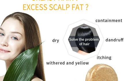 EcoWarra Ginger Polygonum Soap Shampoo Soap Cold Processed Soap Hair Shampoo Bar Pure Plant Hair Shampoos Hair Care