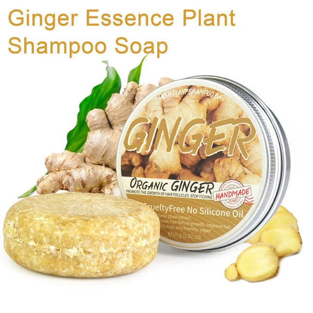 EcoWarra Ginger Polygonum Soap Shampoo Soap Cold Processed Soap Hair Shampoo Bar Pure Plant Hair Shampoos Hair Care