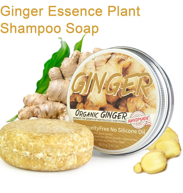 EcoWarra Ginger Polygonum Soap Shampoo Soap Cold Processed Soap Hair Shampoo Bar Pure Plant Hair Shampoos Hair Care