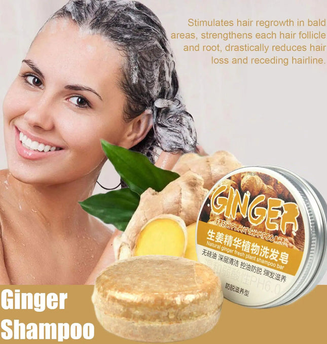 EcoWarra Ginger Polygonum Soap Shampoo Soap Cold Processed Soap Hair Shampoo Bar Pure Plant Hair Shampoos Hair Care