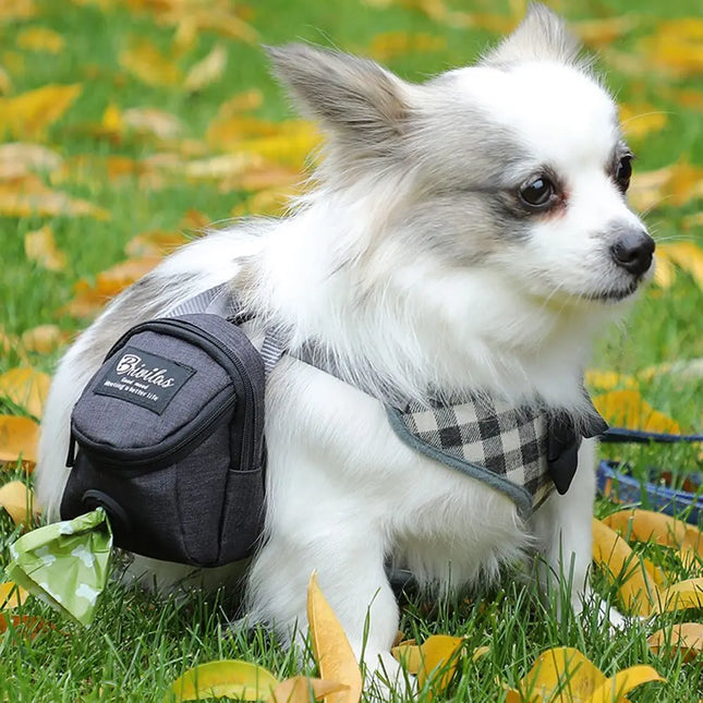 EcoWarra Portable Dog Training Treat Bag Outdoor Pet Dog Treat Pouch Puppy Snack Reward Waist Bag Dog Poop Bag Dog Carriers Bags