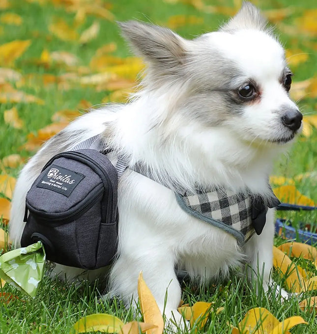 EcoWarra Portable Dog Training Treat Bag Outdoor Pet Dog Treat Pouch Puppy Snack Reward Waist Bag Dog Poop Bag Dog Carriers Bags