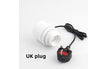 UK plug