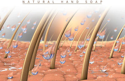 EcoWarra Variant Shampoo soap Ginger solid shampoo bar Clean the scalp remove oil  freshen and wash hair ginger extract