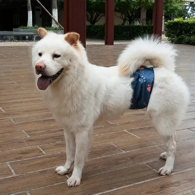 EcoWarra Washable Male Dog Diaper Pet Sanitary Panties Reusable Nappy Belly Band Wrap Diapers Leak Proof Pee Pant for Dogs