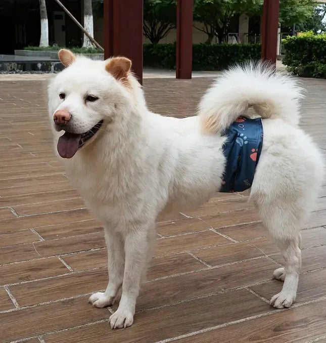 EcoWarra Washable Male Dog Diaper Pet Sanitary Panties Reusable Nappy Belly Band Wrap Diapers Leak Proof Pee Pant for Dogs