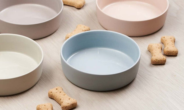 pet bowls