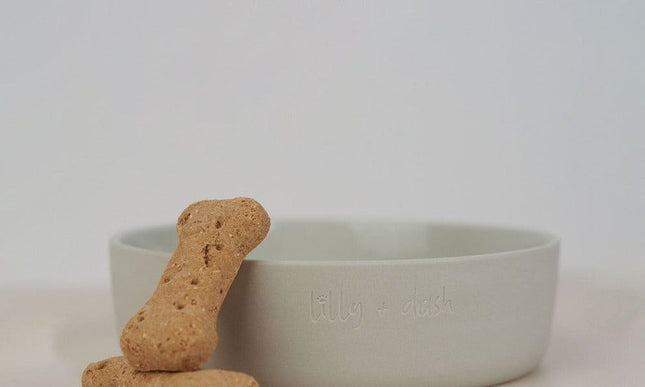 pet bowls